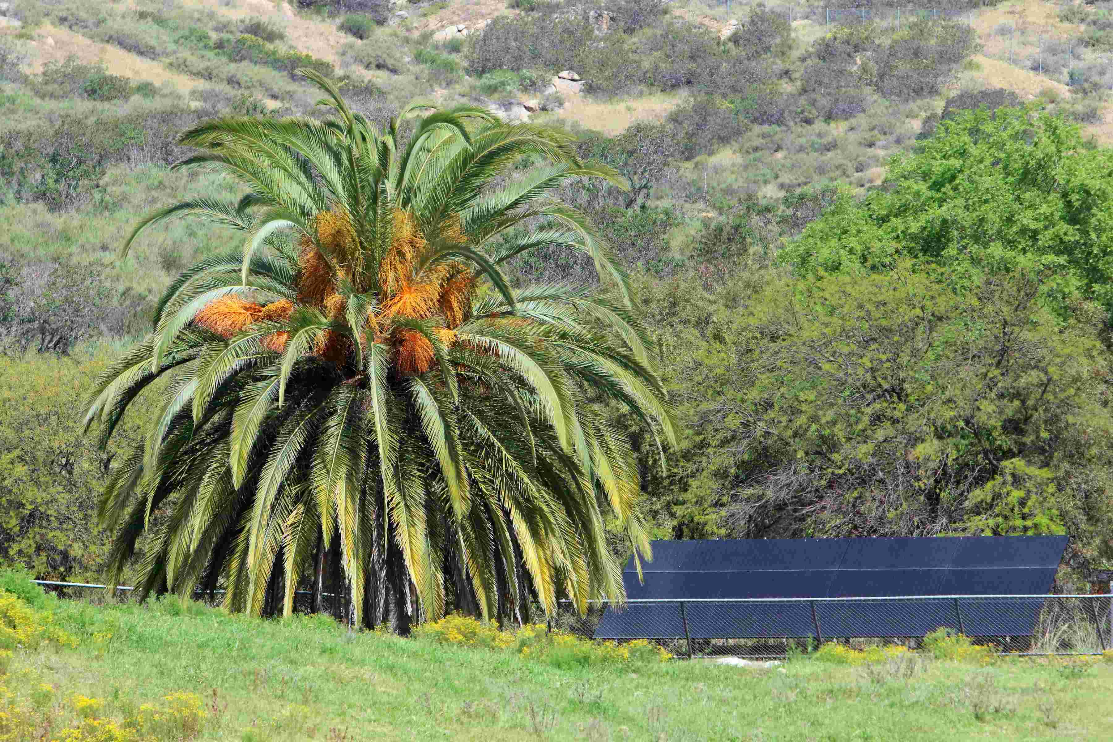 California Solar Valley Project
